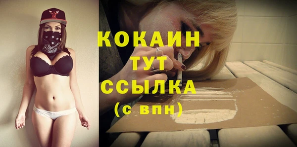 трава Аркадак