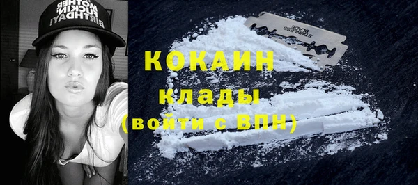 трава Аркадак