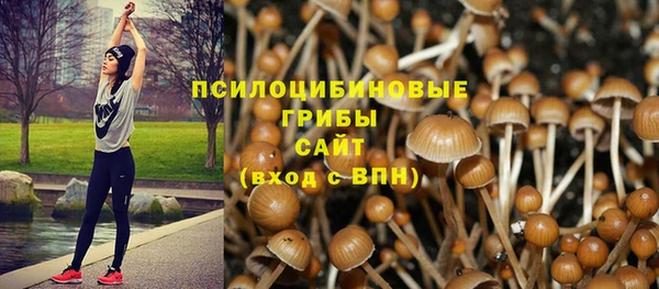 прущий лед Армянск