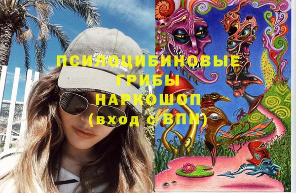 тгк Арсеньев