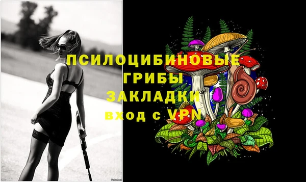 трава Аркадак